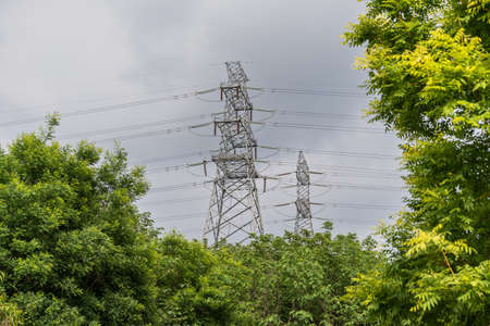 Green garden high-voltage line transmission towerの写真素材