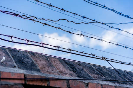Fence wire mesh protection netの写真素材