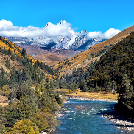 nature sceneryの写真素材