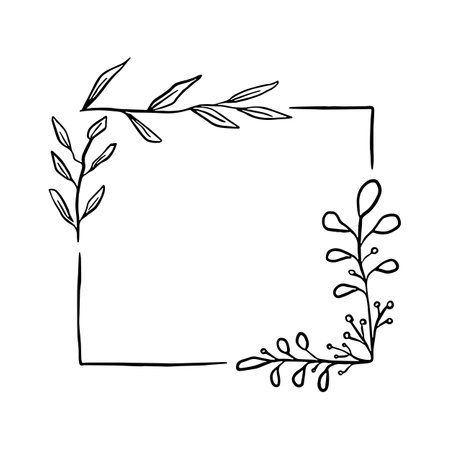 Doodle black line leaves in square. Hand drawn pointed leaves and oval leaf. Vector illustration for decorate logo, text, wedding, greeting cards and any design.のイラスト素材