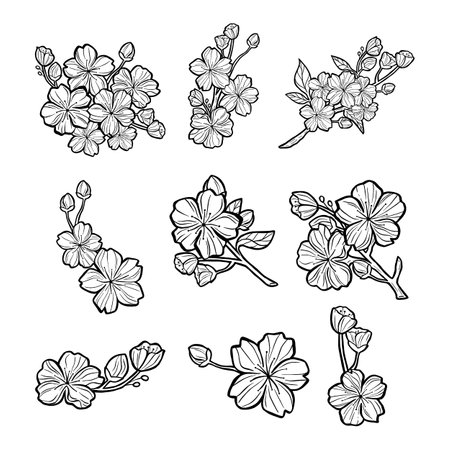 Drawing Beauty Bunch of Sakura Outline. Vector illustration about Nature.のイラスト素材