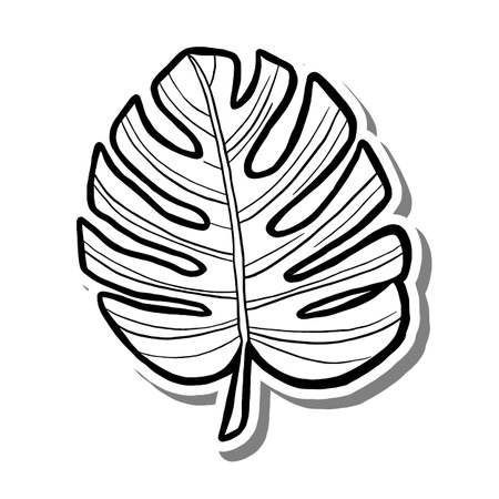 Monstera Leaf on white silhouette and gray shadow. Hand drawn cartoon style. illustration for decorate and any design.のイラスト素材