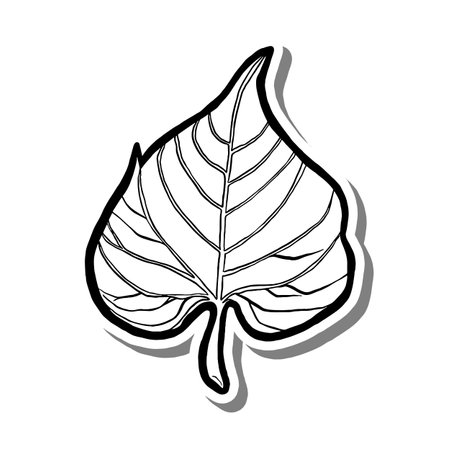 Bodhi Leaf on white silhouette and gray shadow. Hand drawn cartoon style. illustration for decorate and any design.のイラスト素材