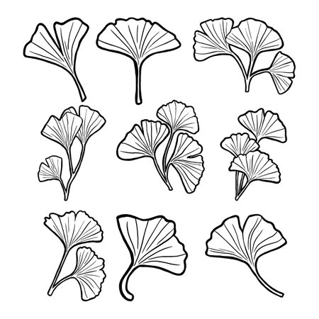 âªBeautiful Ginkgo Leaves Collection. Vector Illustration about Nature.â¬のイラスト素材
