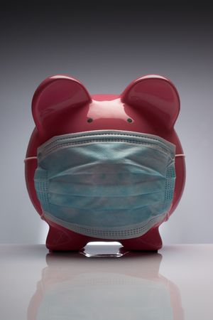Swine flu pig H1N1 wearing protective maskの写真素材