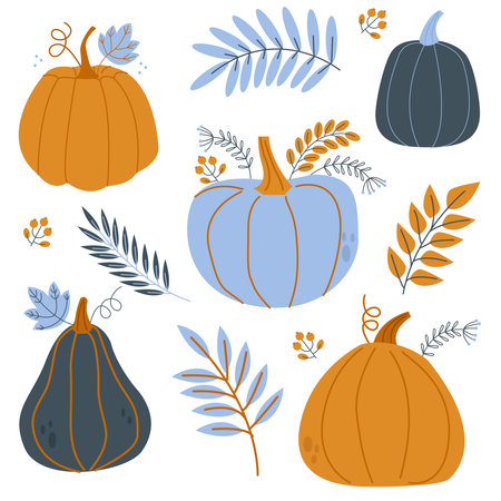 Set with cute autumn pumpkins and leaves for design and decorのイラスト素材