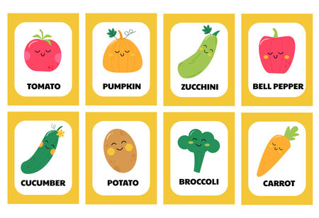 A set of educational cards for children featuring vegetables. In the garden. Tomato, cucumber, carrot, pumpkin, squash, pepper, broccoli, zucchini.のイラスト素材
