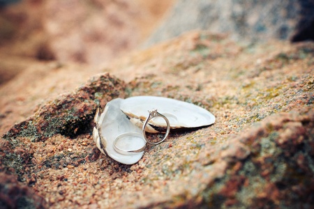 wedding rings in a shellの写真素材