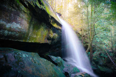 water fall, phukradueng national park in Thailand
