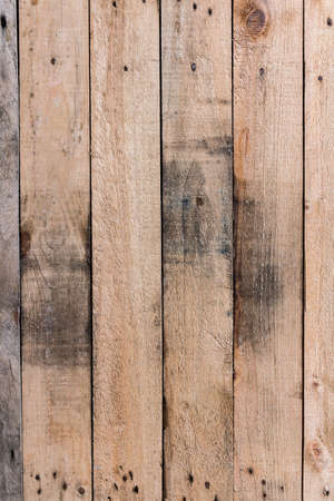 Wall Wood texture back groundの写真素材
