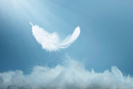 Abstract White Bird Feathers Falling in The Air. Softness of Swan Feather