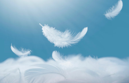 Fluffy white feathers fell on the pile of feathers. Falling swan feather abstract background.の写真素材