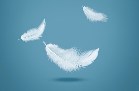 Abstract White Bird Feathers Falling in The Air. Feathers Floating in Heavenlyの写真素材