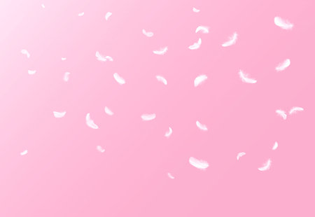 Abstract White Bird Feathers Floating in The Air. Falling Feathers. Softness of Feather on Pink Background.の写真素材