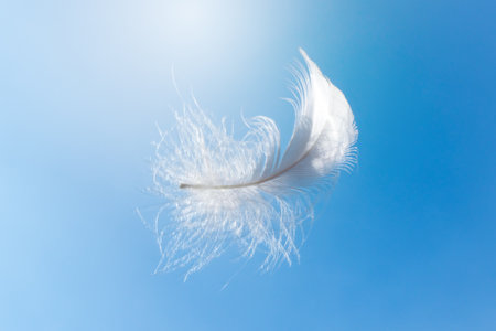Abstract White Bird Feather Floating in The Sky. Softness of Feathers Falling in Heavenly.