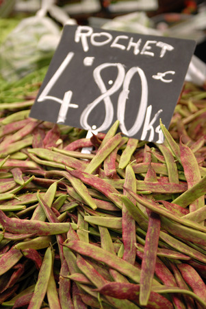 rochetのeditorial素材