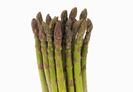 ASPARAGUS.の写真素材