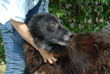 mestizoの写真素材