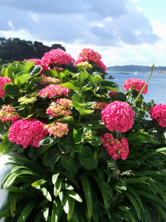 BRITAINの写真素材