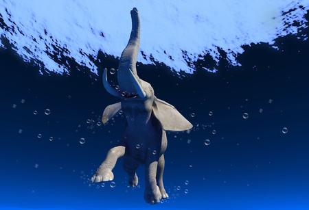 An elephant swims through the water.の写真素材