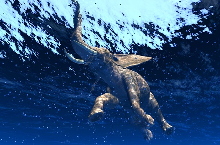 An elephant swims through the water.の写真素材