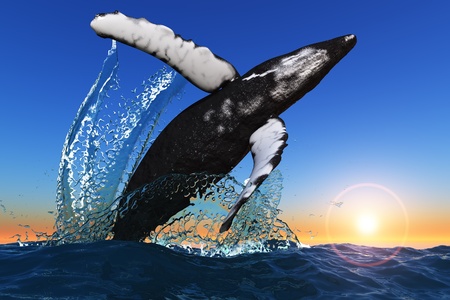 Large whale jumps out of the sea.の写真素材