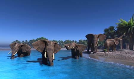 An elephant swims through the water.の写真素材