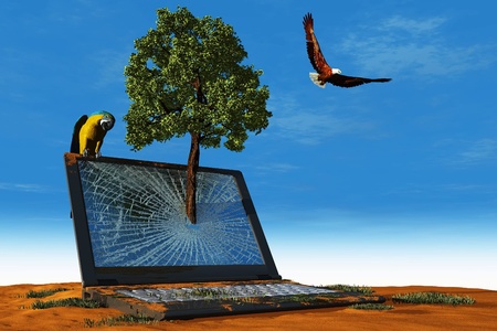 The laptop in the desert.の写真素材