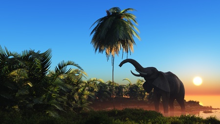 An elephant swims through the water.の写真素材