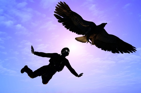 Parashutist and bird in the sky.