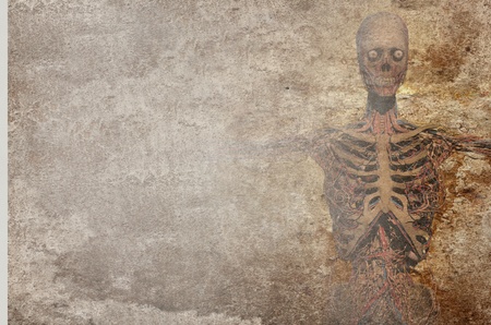 Human skeleton in an abstract background.の写真素材