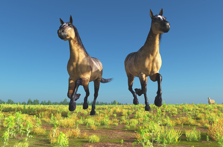 Horse on a background of blue sky.の写真素材