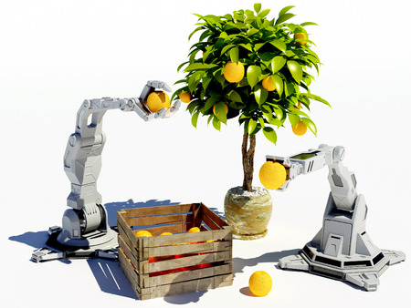 Mechanical robots collect oranges from the tree.の写真素材