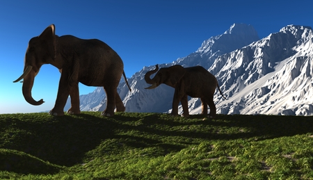 Group of elephants on a background of mountains.の写真素材