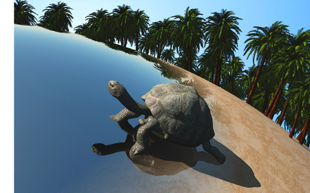 Model of the globe and the tortoise.の写真素材