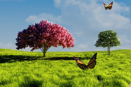 Butterflies on the background of green field.の写真素材