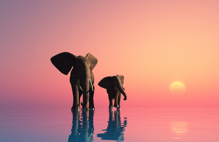 Group of elephants at sunset.,3d renderの写真素材