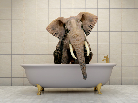 Elephant in the bathroom.,3d renderの写真素材