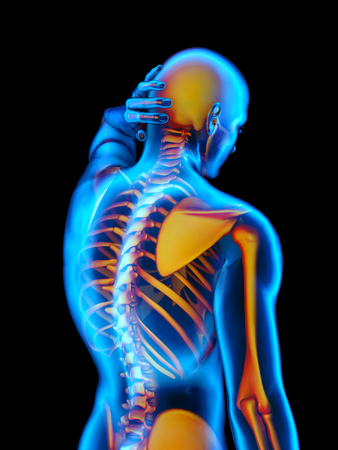 Graphical representation of the human skeleton.,3d renderの写真素材