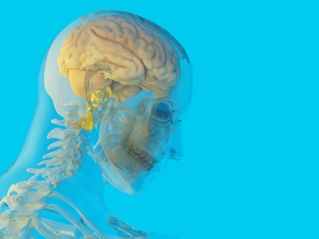 A human skull on a blue background..,3d renderの写真素材