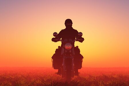Motorcyclist in the field..,3d render
