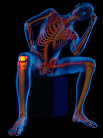 Graphical representation of the human skeleton., 3d renderの写真素材