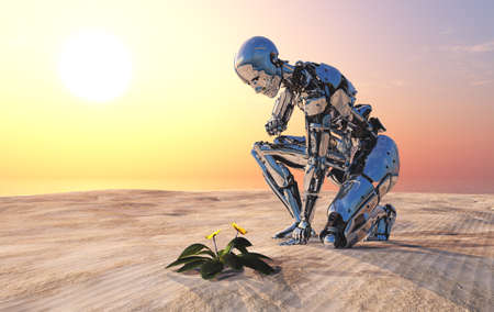 Robot and flower in the desert.3dの写真素材