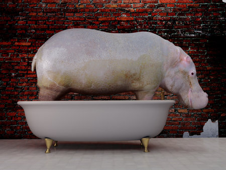 Hippo in the bath., 3d renderの写真素材