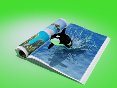 Whale swims in the water on the magazine. 3d renderingの写真素材