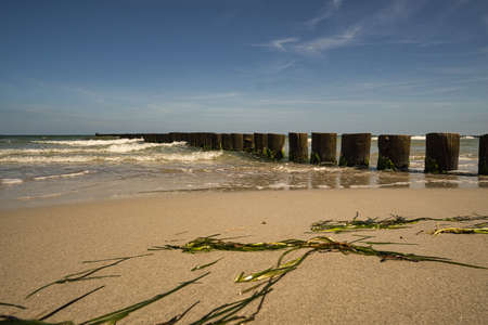 at the beach of the baltic sea in zingst. view of the sea with groynes. zingst is a vacation resort in germanyの写真素材