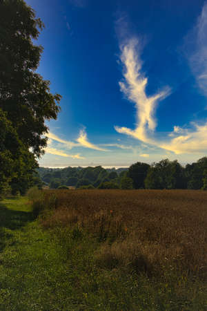 swedish cornfield on the island of Ãland. recreation, adventure and lots of relaxation in incomparable natureの写真素材