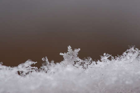 snowflake and ice crystal in the snow. individually depicted. wintry atmosphere. detailed and isolated.の写真素材