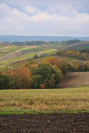 In Saarland forests, meadows and solitary trees in autumn look. Fabenpracht and lonely peace you can...