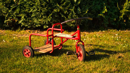 Tricycle for children with passenger function. Fun game for the little ones, which train coordination and fitnis. stabieles tricycle also for slightly older childrenの写真素材